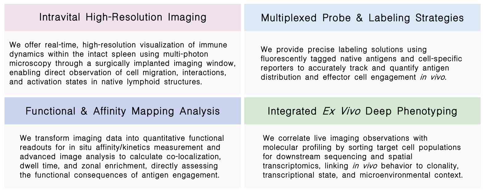 Featured services of in vivo native antigen validation on splenic immune cell populations at Creative Biolabs. (Creative Biolabs Original)