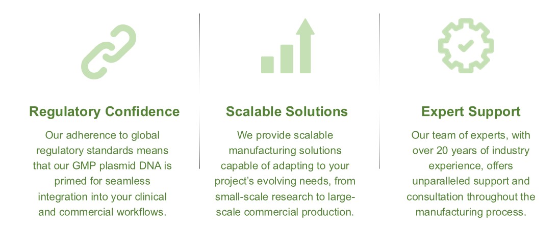 Fig.2 Features of our service. (Creative Biolabs Original)