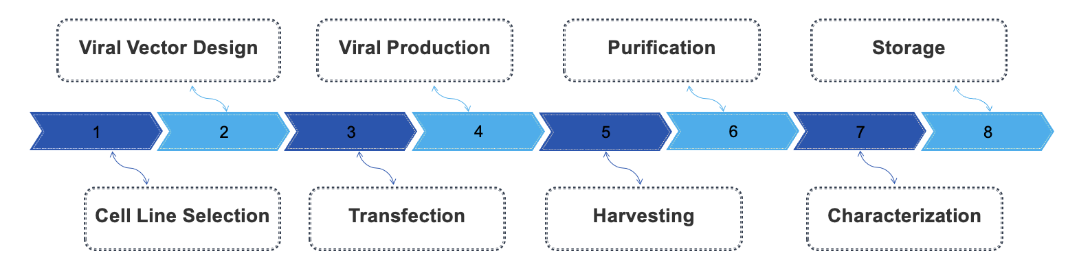 Fig.3 Process. (Creative Biolabs Original)
