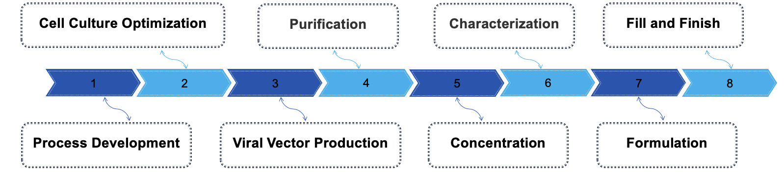 Fig.2 Process. (Creative Biolabs Original)