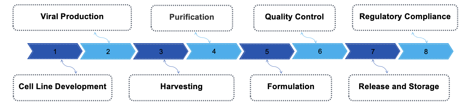 Fig.1 Advantages. (Creative Biolabs Original)