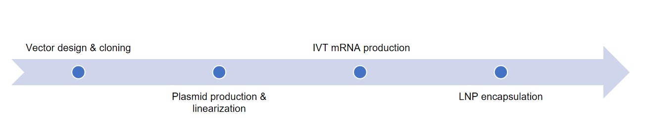 Fig.1 Our services. (Creative Biolabs original)