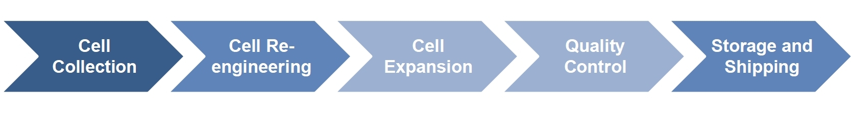 1-1-27-7-1-iit-grade-car-t-manufacturing-service-1