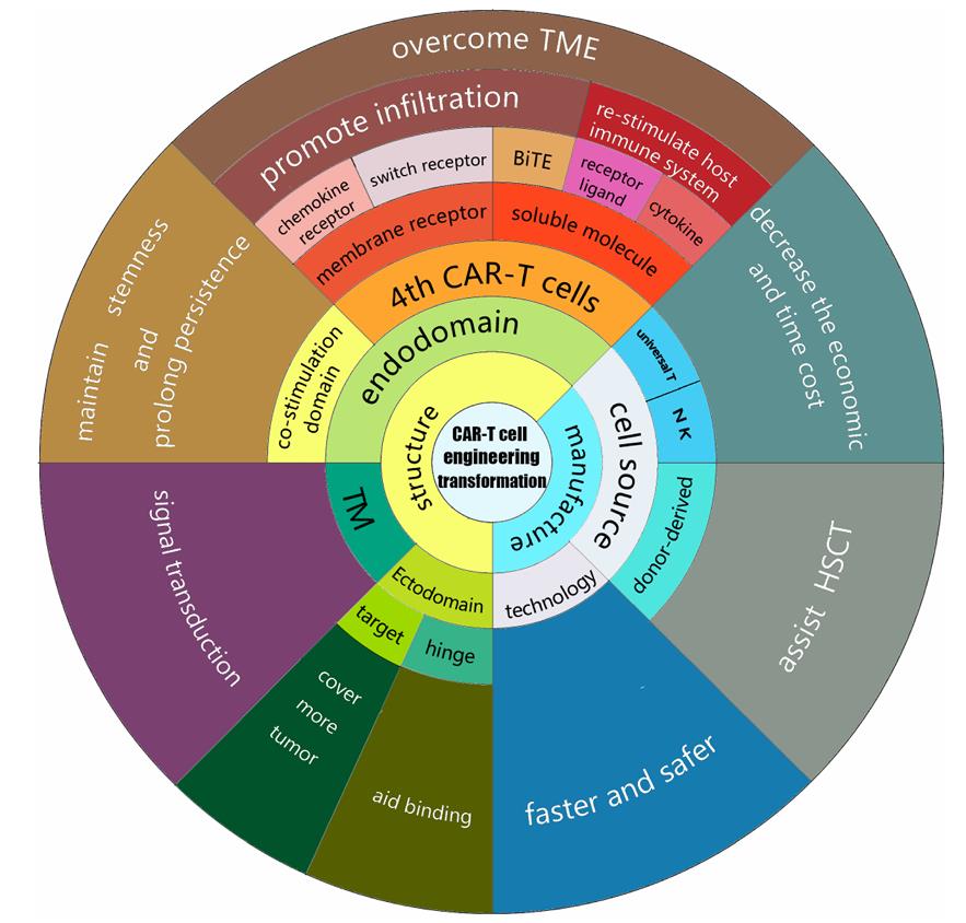 Fig.1 The focus and objectives for innovating CAR-T cell engineering.