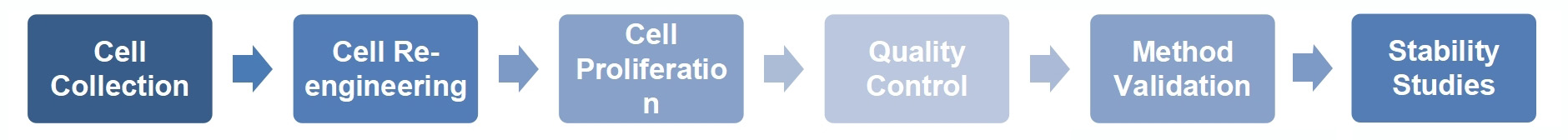 1-1-27-7-2-ind-grade-car-t-manufacturing-service-2