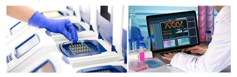 Fig.1 Global CDMO Services for CAR Cells-1. (Creative Biolabs Original)