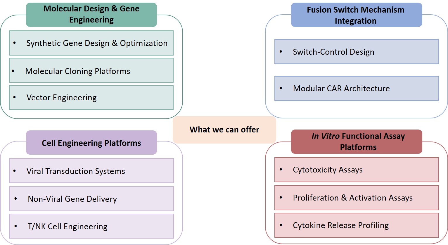 Analysis and testing of the FR806 fusion switch CAR construction service. (Creative Biolabs Original)