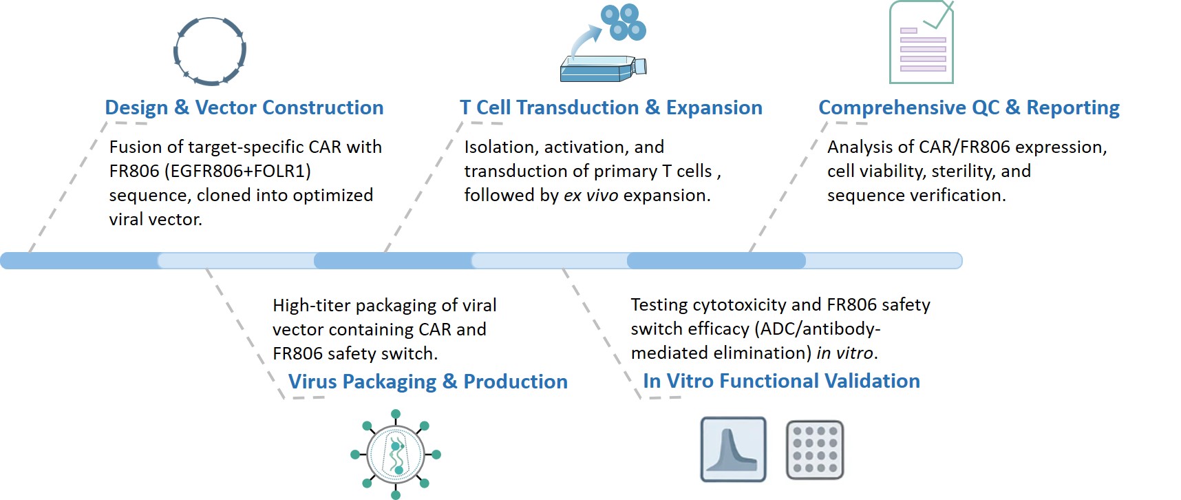 Workflow of the FR806 fusion switch CAR construction service. (Creative Biolabs Original)