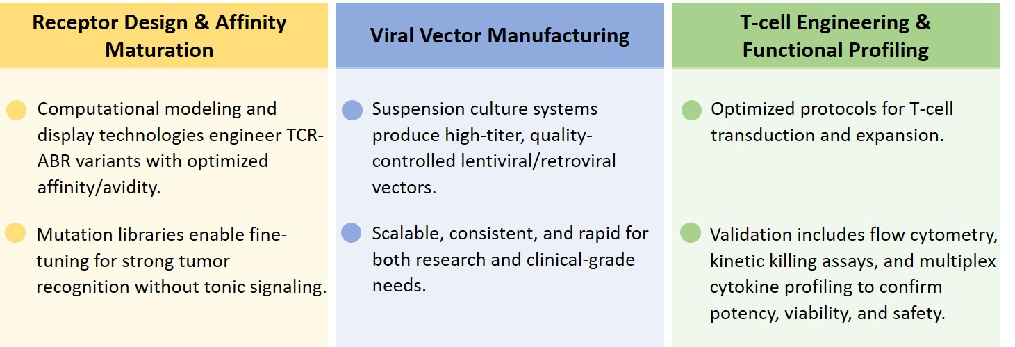 Analysis of TCR-ABR CAR construction service. (Creative Biolabs Original)