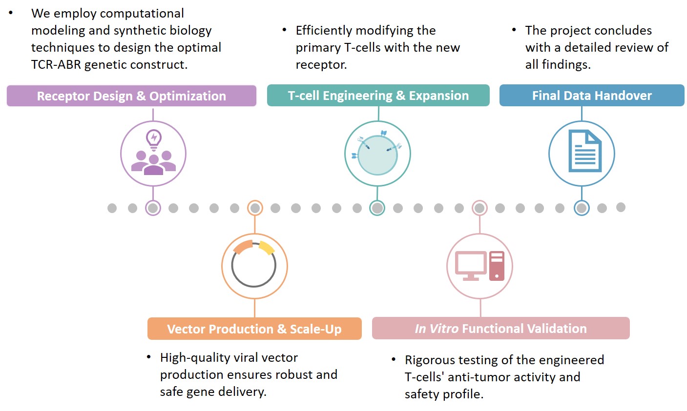Workflow of TCR-ABR CAR construction service. (Creative Biolabs Original)