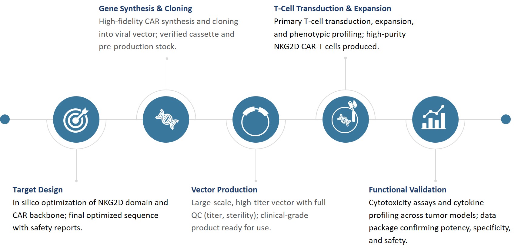 Workflow of NKG2D-based multi-target CAR construction. (Creative Biolabs Original)