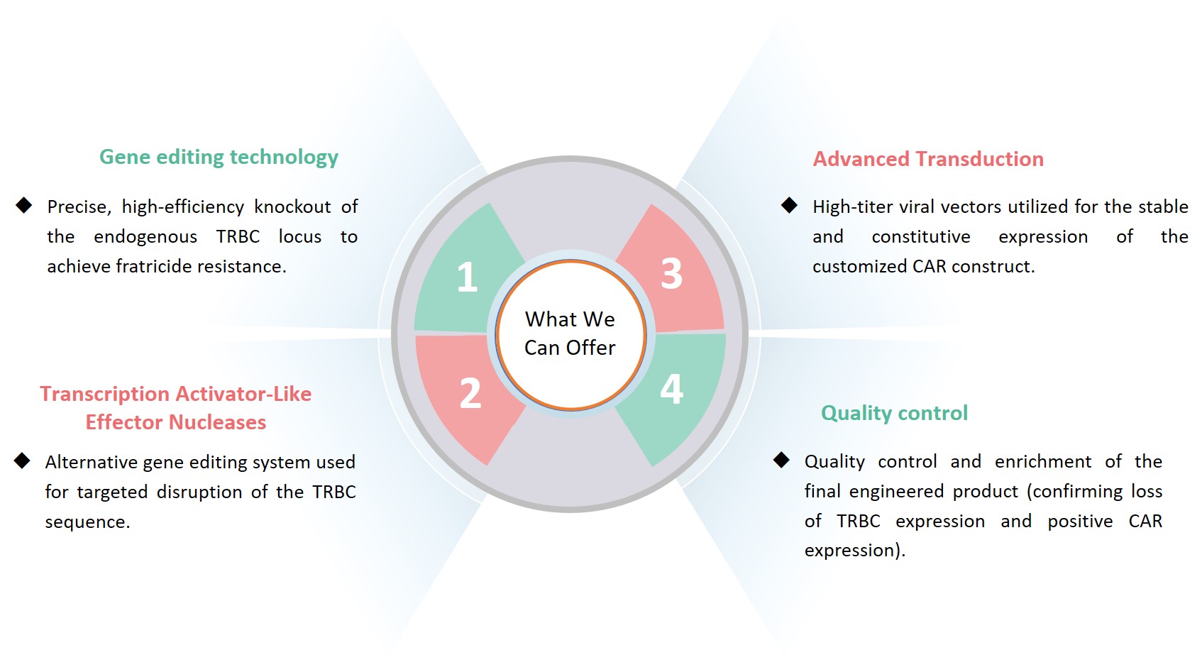 Analysis on CAR-T engineering service targeting TRBCs for T cell malignancies immunotherapy. (Creative Biolabs Original)