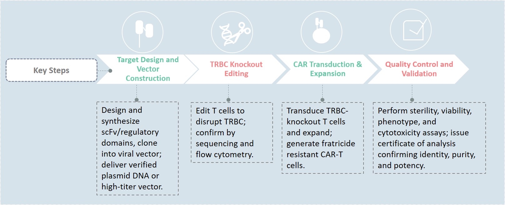Workflow of CAR-T engineering service targeting TRBCs for T cell malignancies immunotherapy. (Creative Biolabs Original)