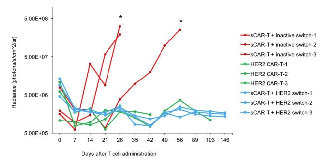 Fig.3 Functional assay. (Raj, Deepak et al., 2019)