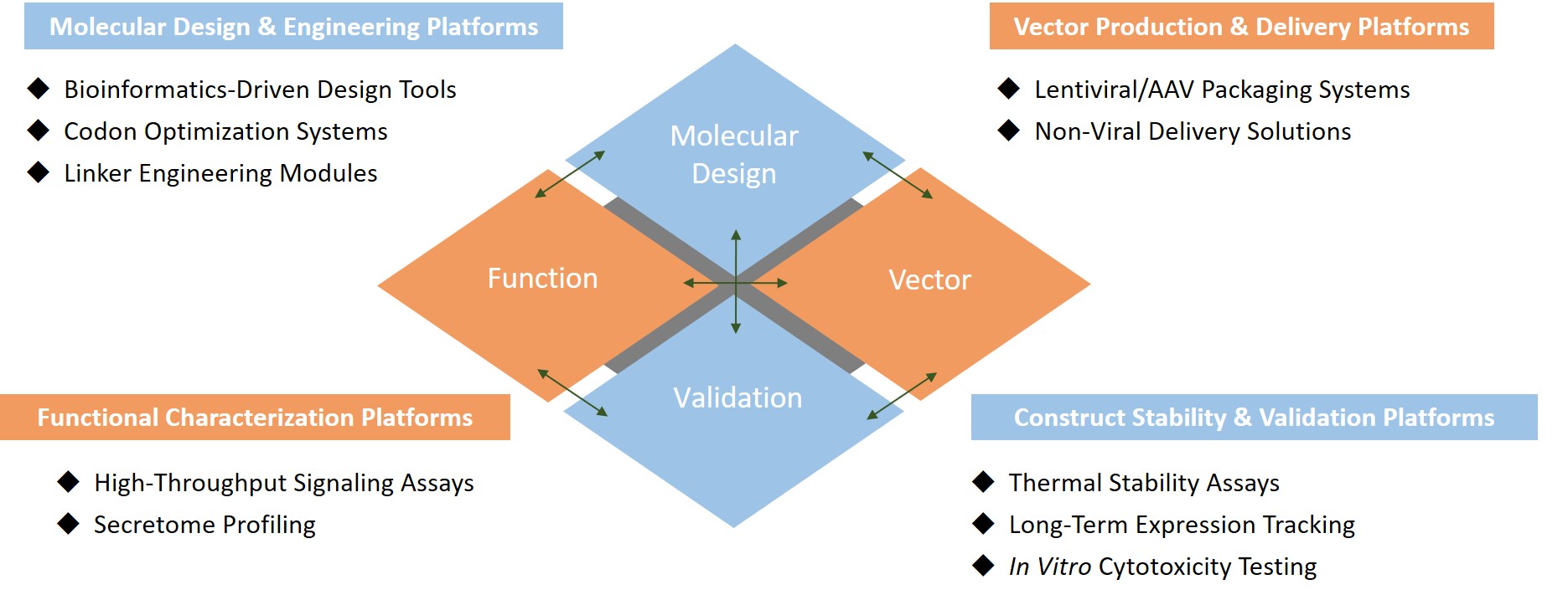 Analysis and testing of CID-cytokine receptor chimera. (Creative Biolabs Original)