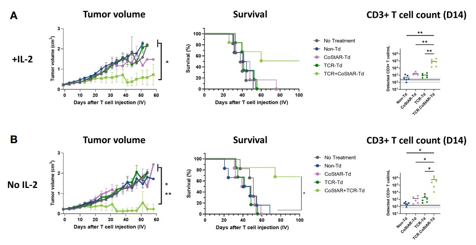 Fig.2 In vivo efficacy of CoStAR treatment. (Kalaitsidou, et al, 2023)