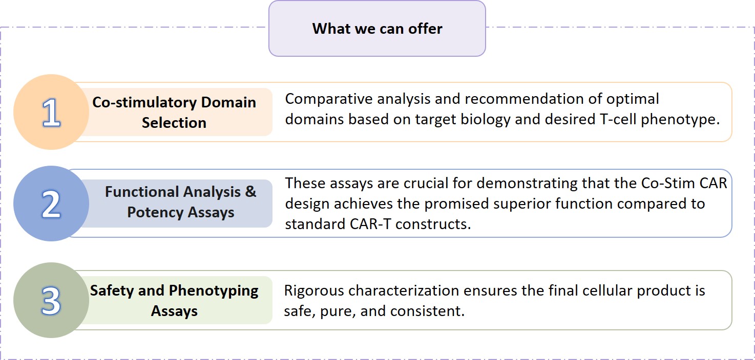 Analysis and testing of co-stim CAR design. (Creative Biolabs Original)