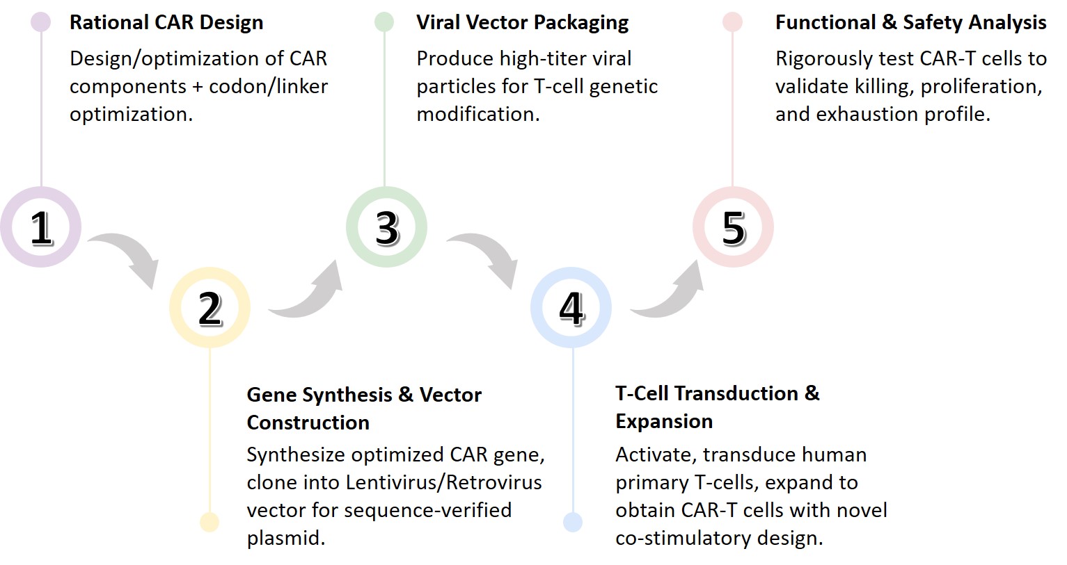Workflow of co-stim CAR design. (Creative Biolabs Original)