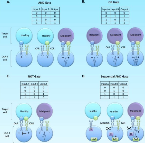 Fig.1 Boolean logic gate CAR. (OA Literature)