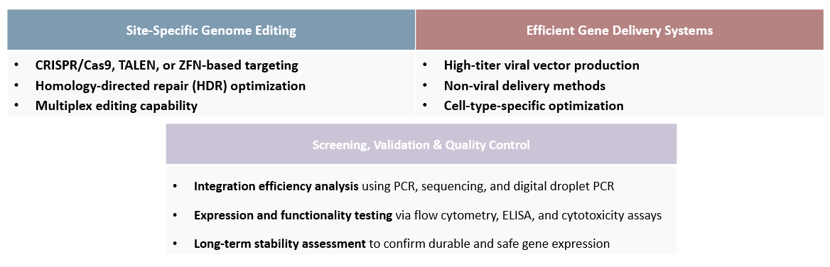 Analysis and testing of high-efficiency genomic integration. (Creative Biolabs Original)