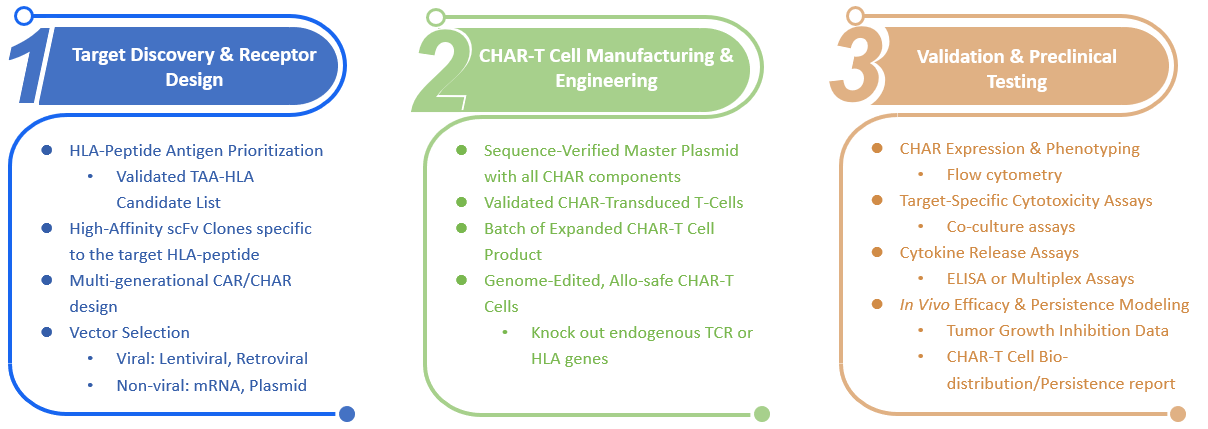 Analysis and testing of CHAR construction. (Creative Biolabs Original)