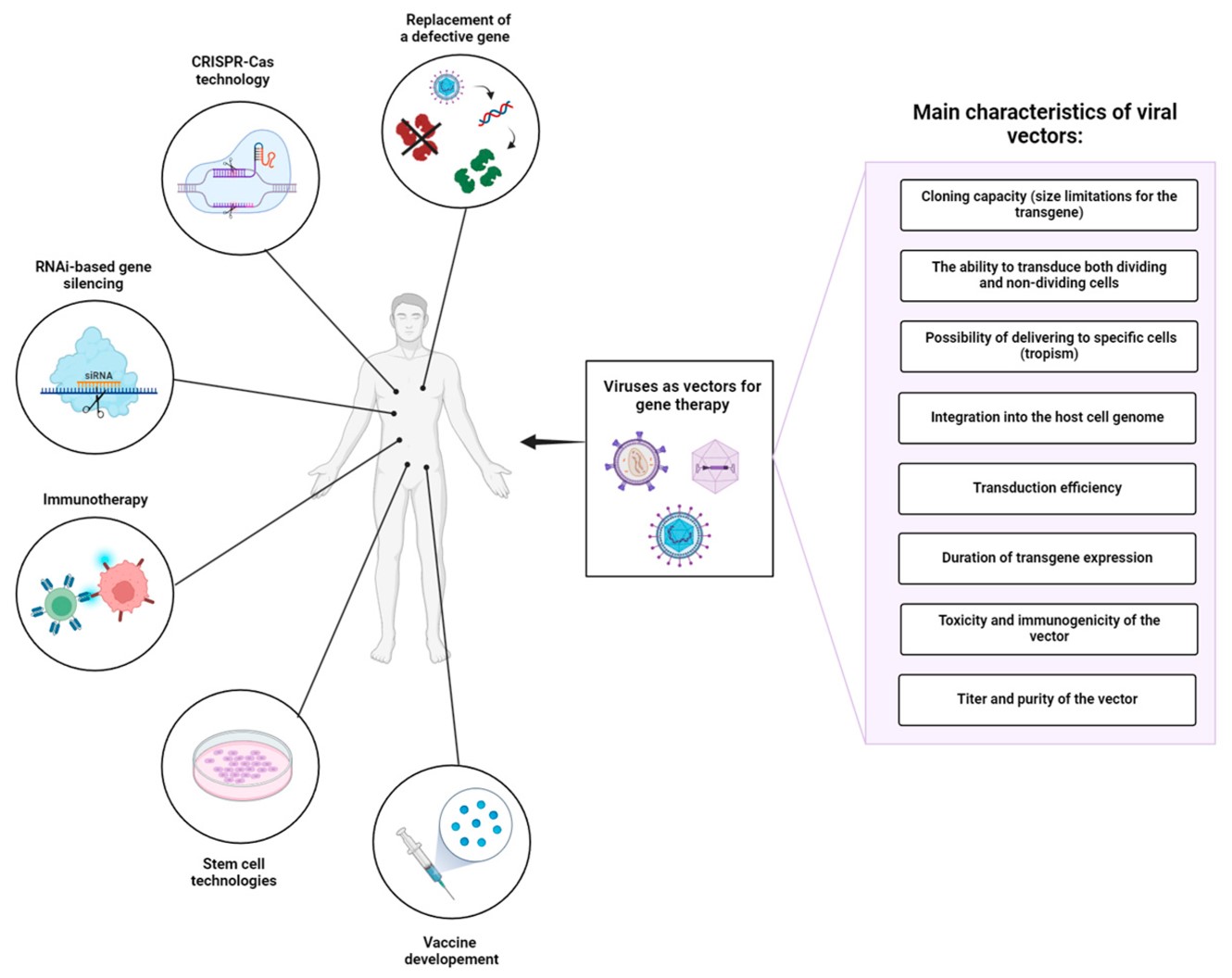 Fig.1 Application of viral vectors in gene therapy and important factors influencing the choice of viral vector platform. (OA Literature)