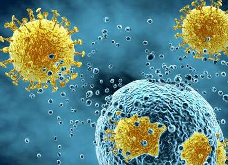 CAR-T Cell Cultivation. (Skorka, et al., 2020) 