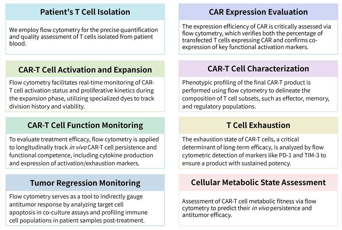 Featured services of flow cytometry application in CAR-T system. (Creative Biolabs Original)