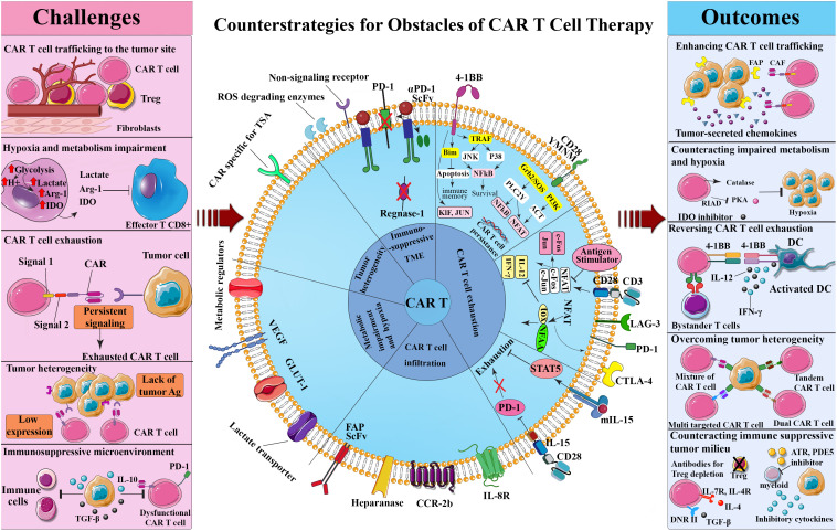 CAR-T cell therapy: barriers and the path forward. (OA Literature)