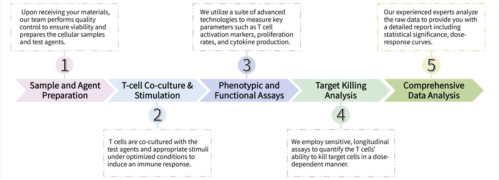 Workflow of enhancement or inhibition T cell response detection service. (Creative Biolabs Original)