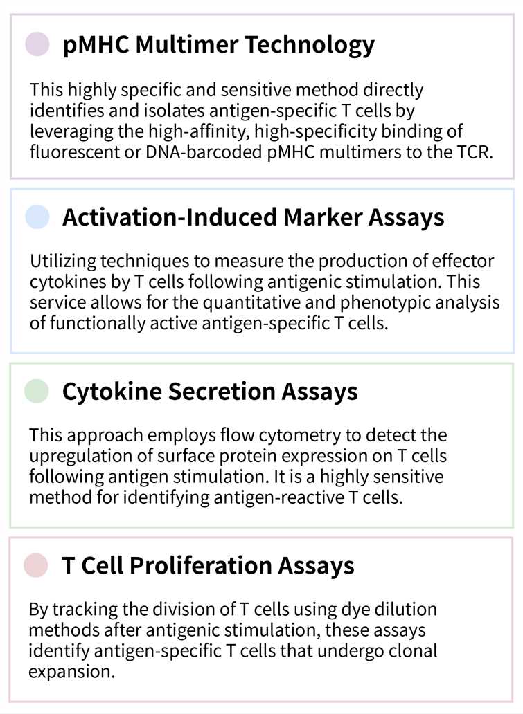 Featured services of antigen specific T cell activation assay service. (Creative Biolabs Original)
