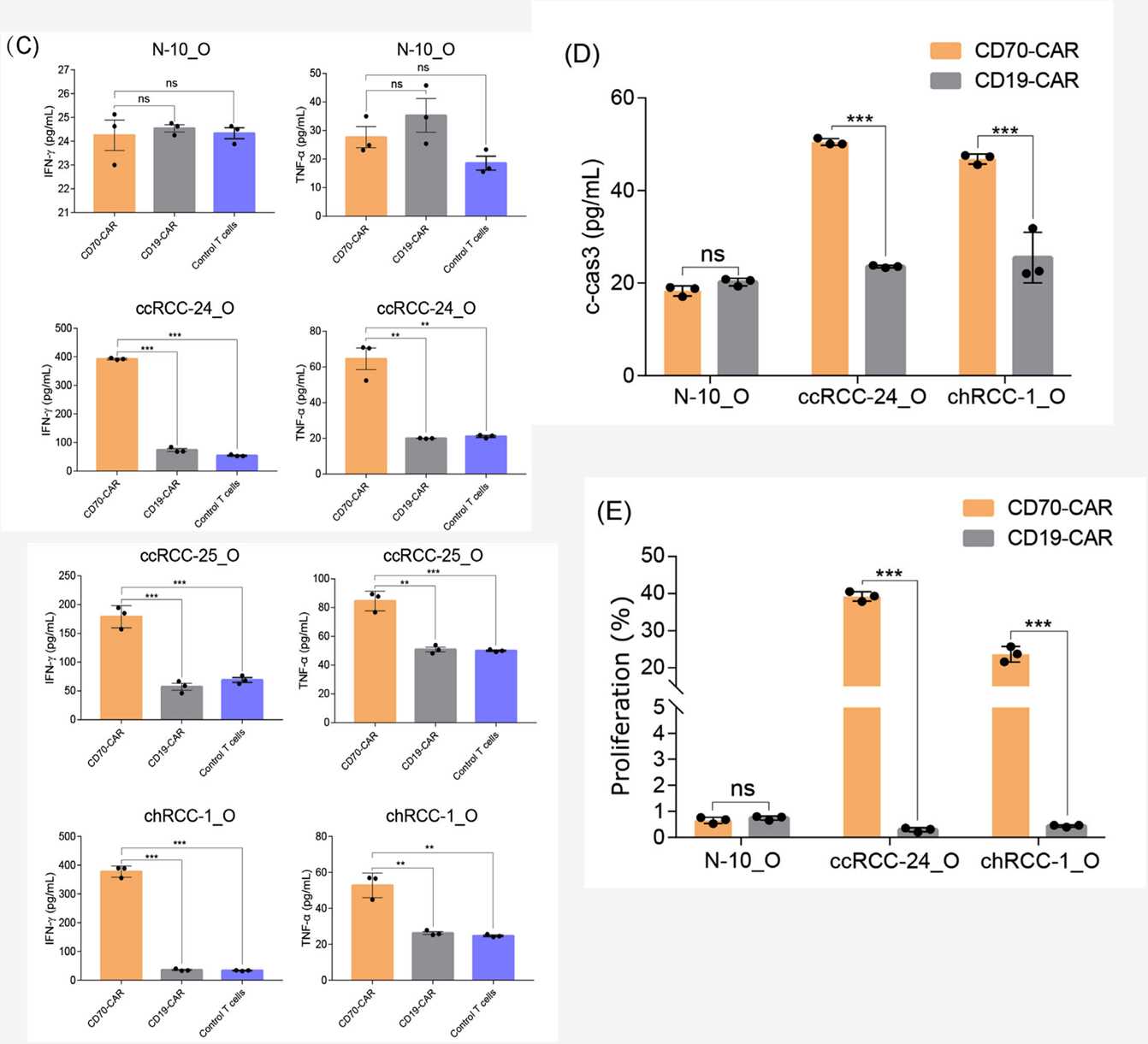 CAR-T cells show significant cytotoxicity to CD70+ kideney cancer organoids.