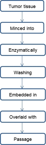 Workflow for NEC organoid establishment.