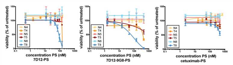 The response of Cancer organoids to antibody-based PDT therapy is detected by cell viability alteration.