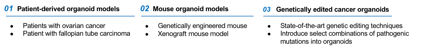 Fallopian Tube Carcinoma Cancer Organoid Types