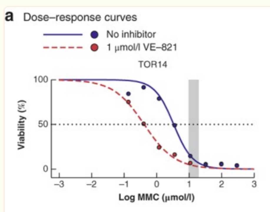 Application of Peritoneal Metastatic Colorectal Cancer Organoids