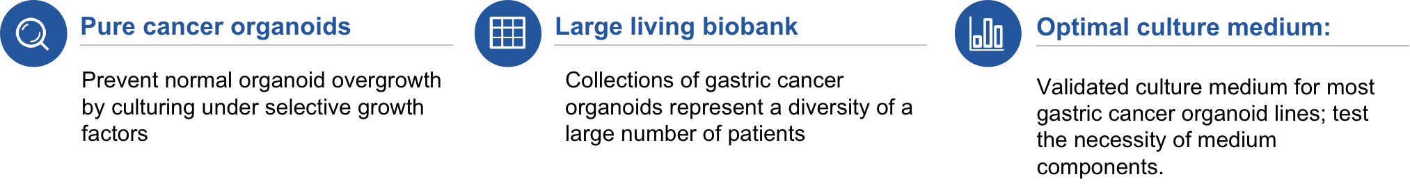 Key Features of Cervical Cancer Organoid Models at Creative Biolabs