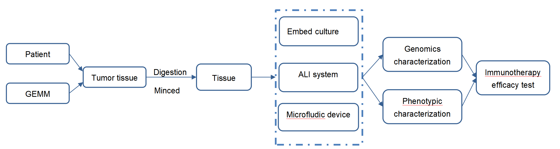 Our establishing workflow of pancreatic organoid models.