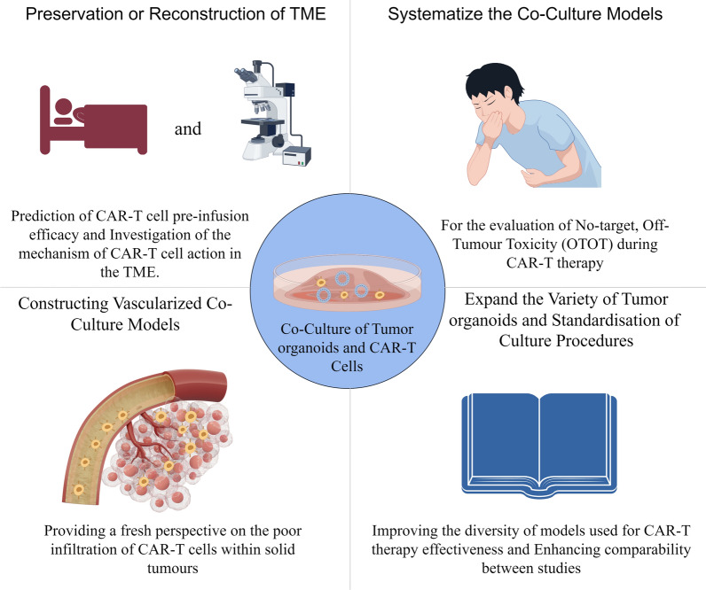 Advancing cancer immunotherapy: the application value of modified tumor organoid and CAR-T cell co-culture systems. (OA Literature)