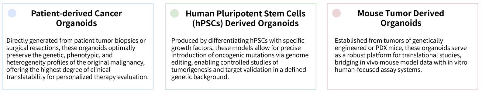 Organoid types of OncoSolid™ cancer organoid model based CAR-T in vitro efficacy assay services. (Creative Biolabs Original)