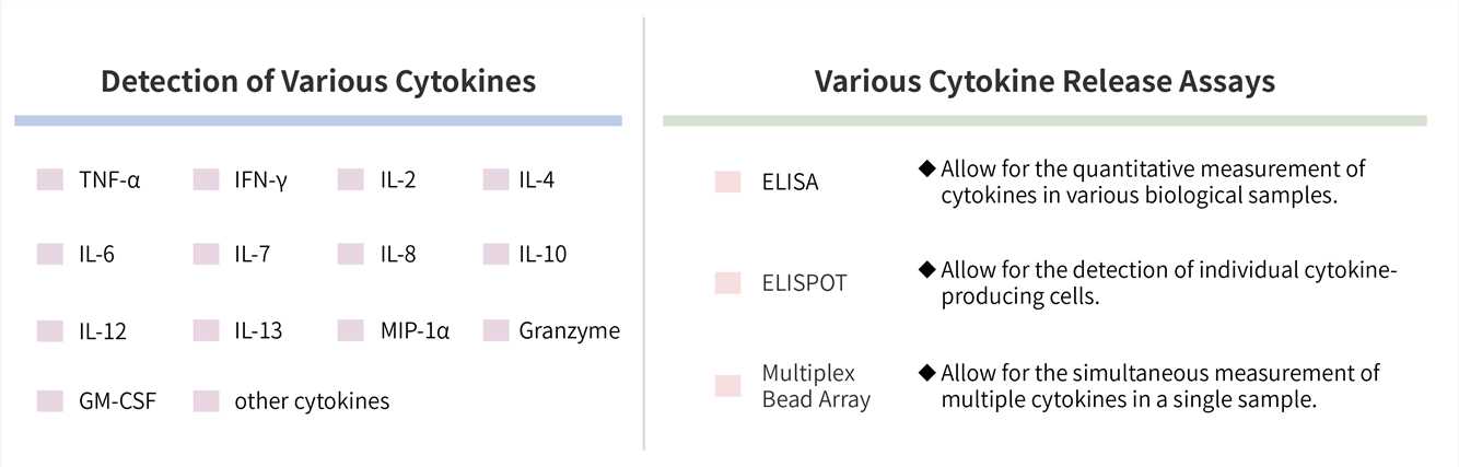 Featured services of CellRapeutics™ cytokine release test service. (Creative Biolabs Original)