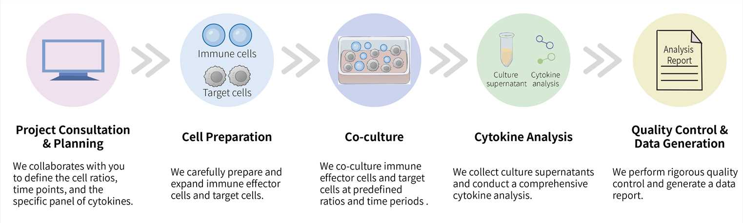Workflow of CellRapeutics™ cytokine release test service. (Creative Biolabs Original)