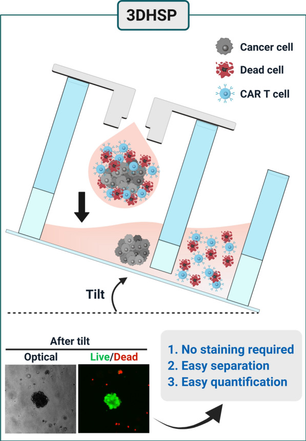 Design of a high-throughput toxicity screening platform with 3D hanging spheroids. (OA Literature)