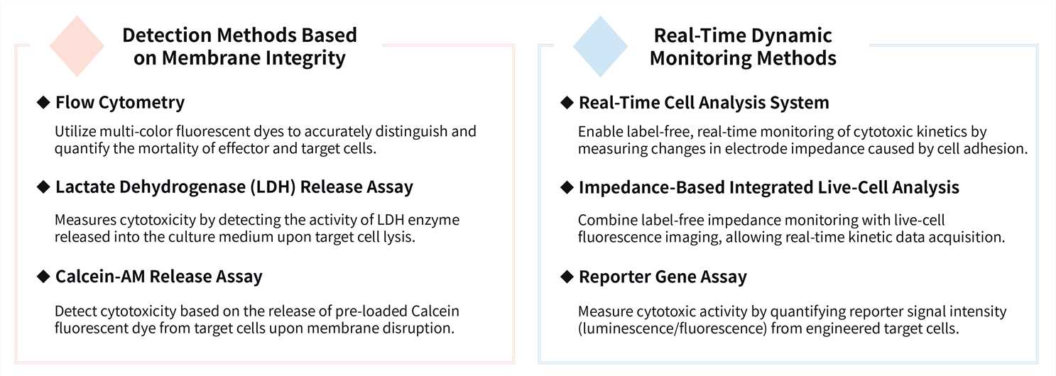 Featured services of CellRapeutics™ cytokine release test service. (Creative Biolabs Original)