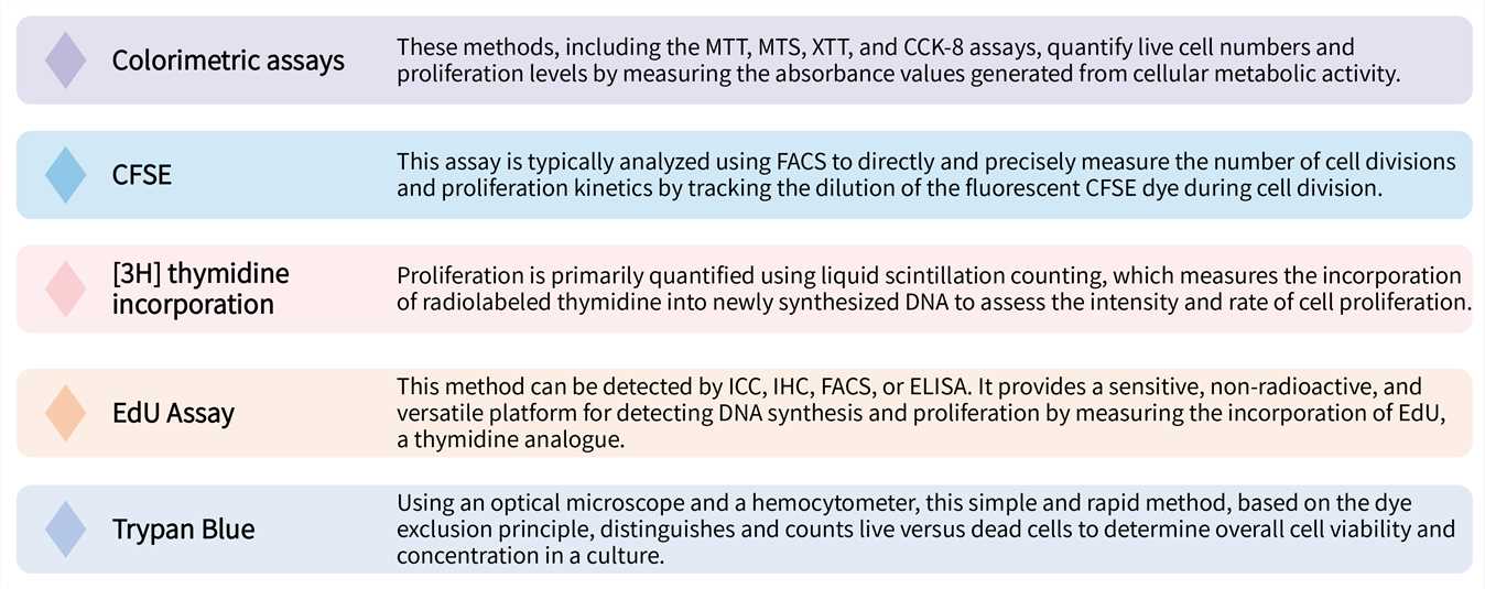 Featured services of CellRapeutics™ proliferation test service. (Creative Biolabs Original)