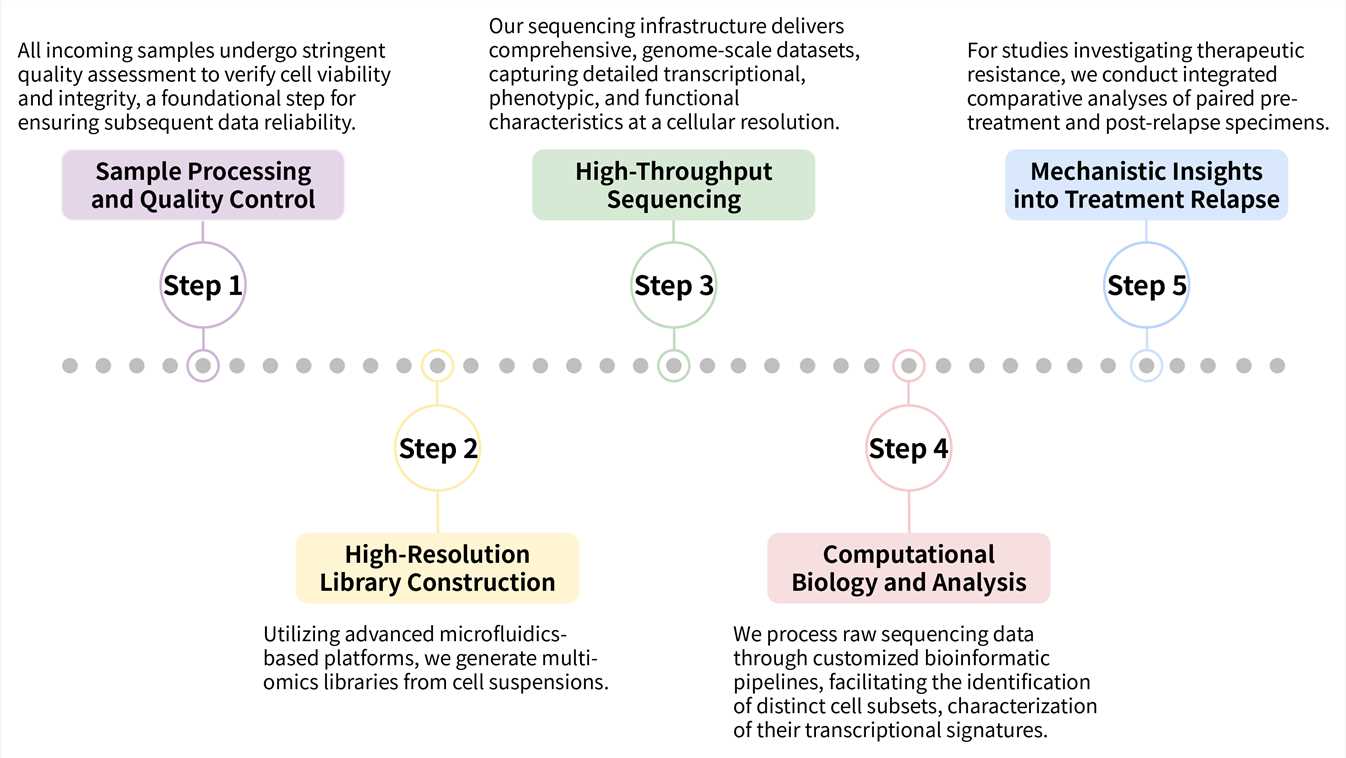 Workflow of high-resolution profiling service for CAR-T cell heterogeneity. (Creative Biolabs Original)