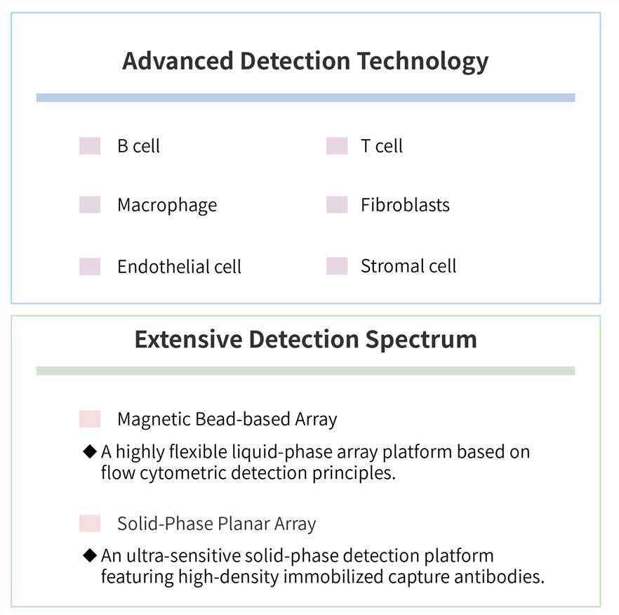 Featured services of CellRapeutics™ multiplex cytokine and chemokine assay service. (Creative Biolabs Original)