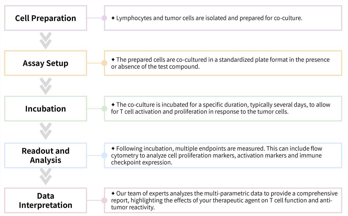 Workflow of mixed lymphocyte tumor reactivity assay service. (Creative Biolabs Original)