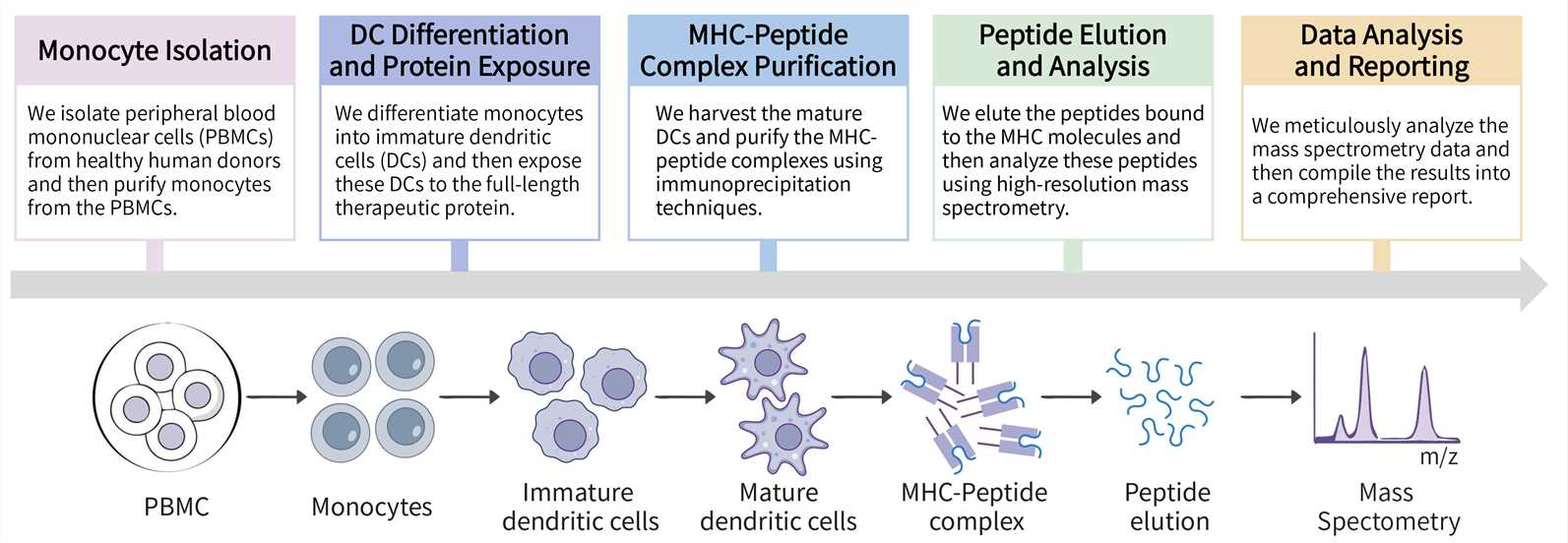 Workflow of MAPPS assay. (Creative Biolabs Original)