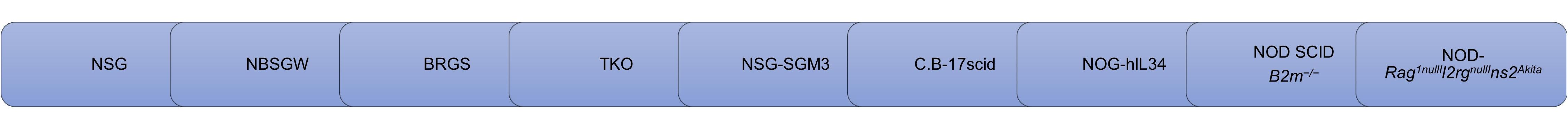 Fig. 4 Humanized mouse strains. (Creative Biolabs Original)